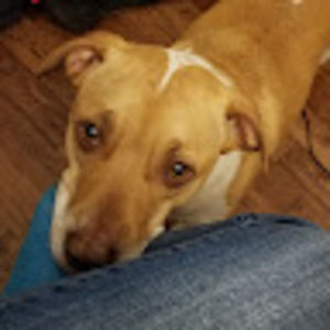 Meet your Posher, Kaycee